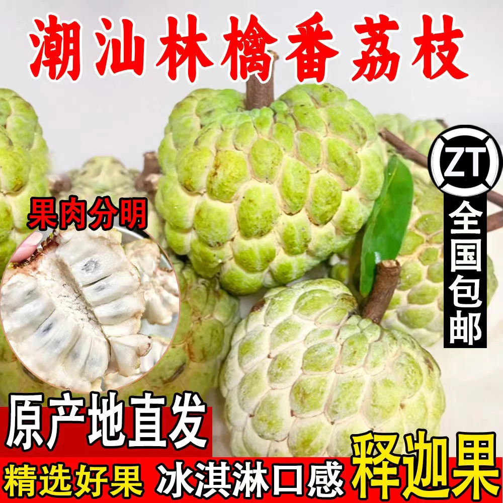【潮汕大目释迦】正宗樟林林檎凤梨释迦果佛头果超甜新鲜现摘现发