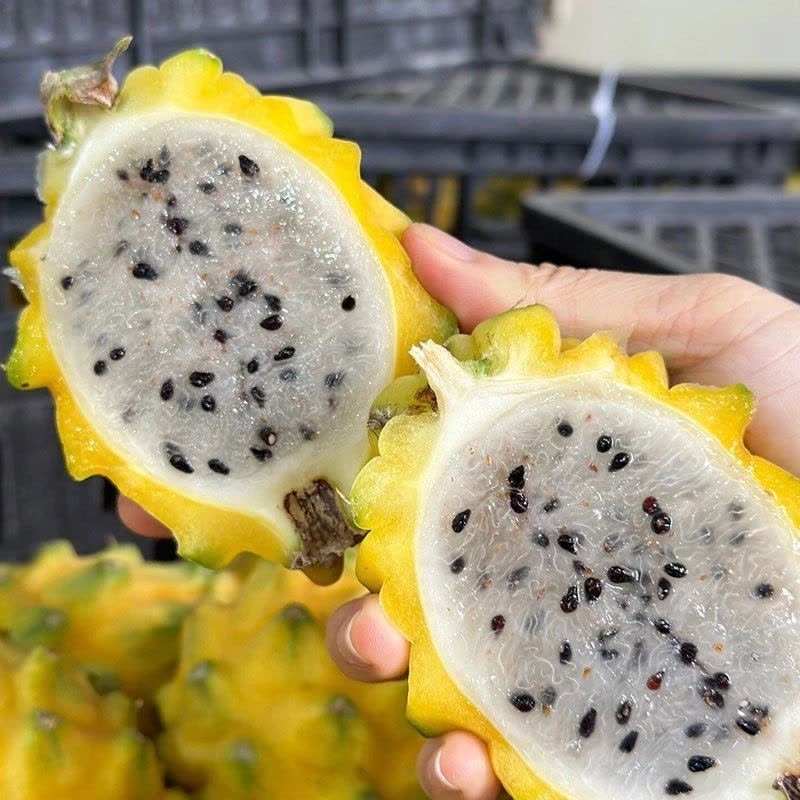 【顺丰包邮】中果海南燕窝果新鲜热带水果小果装多汁果香
