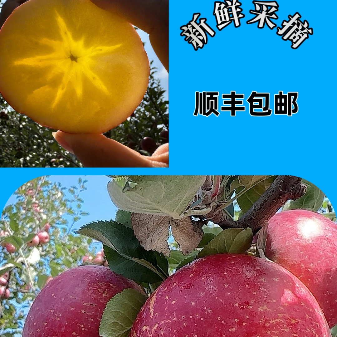 【胖墩墩推荐】小果 云南昭通冰糖心丑苹果 新鲜采摘 顺丰包邮