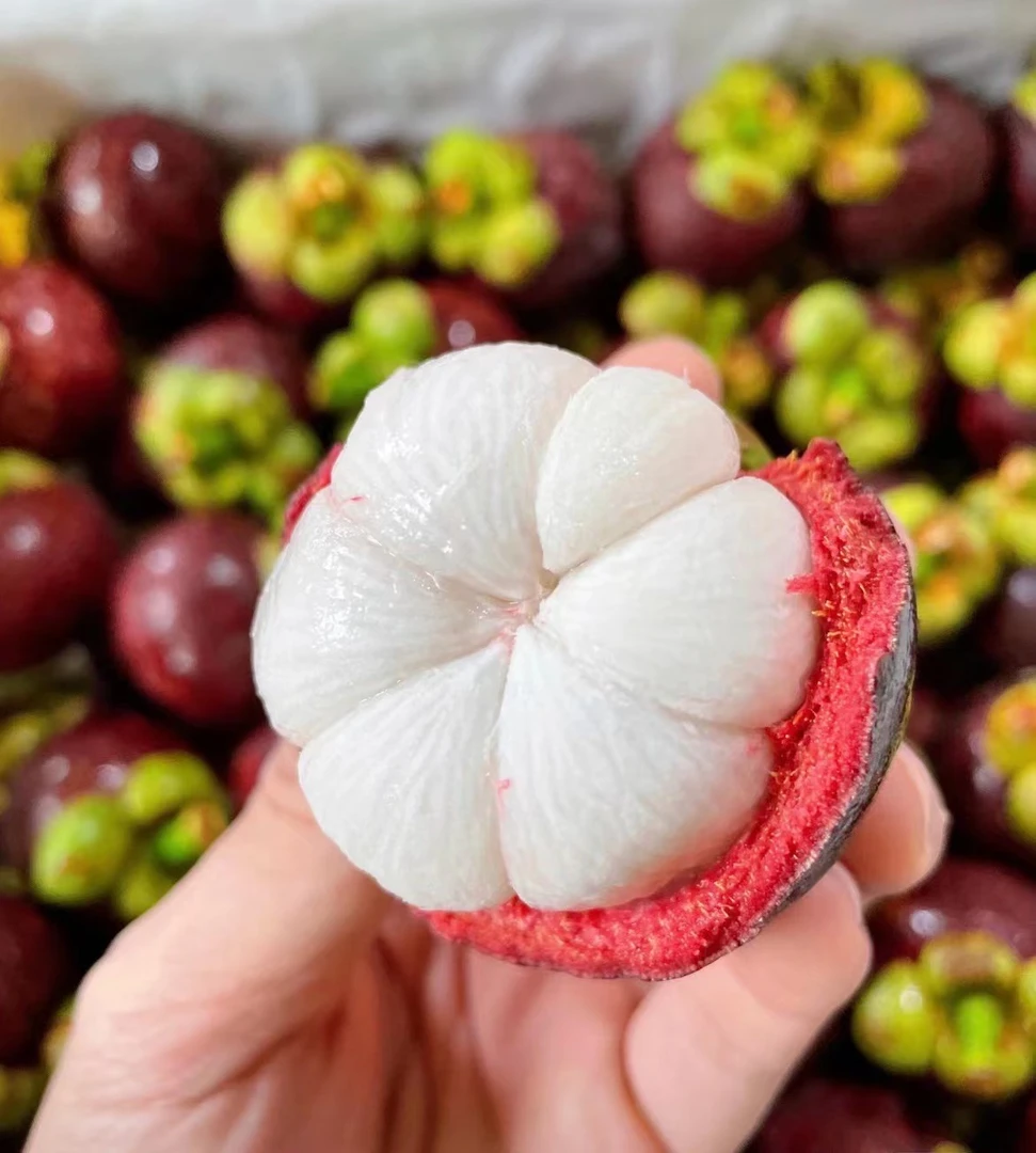 【直播】5A山竹700g 果肉多汁 白嫩肥美酸甜爽口
