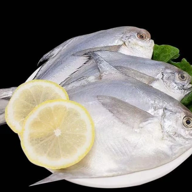 青岛本地银鲳鱼5-6条/斤5斤顺丰包邮