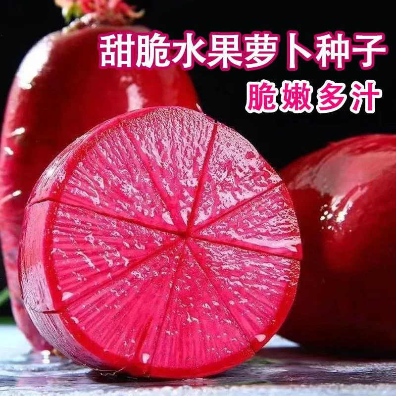 凤梨红心水果萝卜种子高产红皮生吃甜脆满堂红心里美农家蔬菜菜子