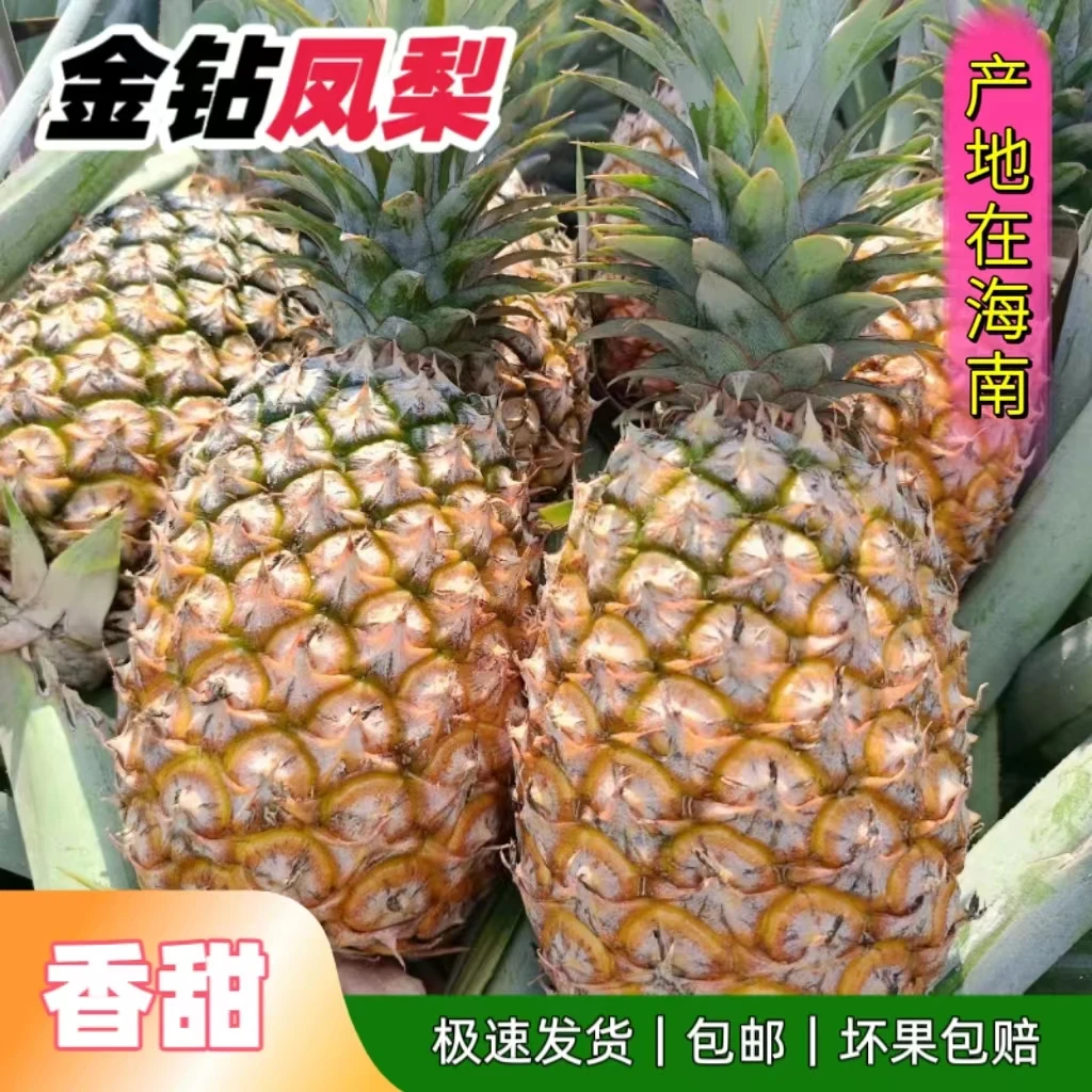 【切开即食】海南金钻凤梨中大果2-4个4.6-5斤新鲜当季水果整箱包邮