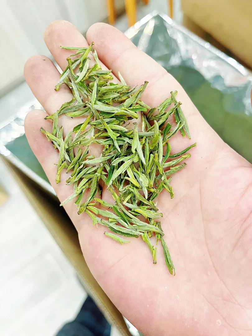 2024新茶A88 精品明前(舒城小兰刷)颗颗小肥芽兰花香扑鼻口感鲜爽