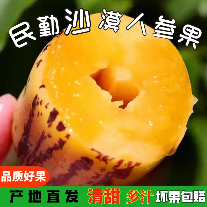 1-9斤顺丰包邮民勤沙漠黄肉人参果新鲜采摘低糖清甜 果肉饱满爽口