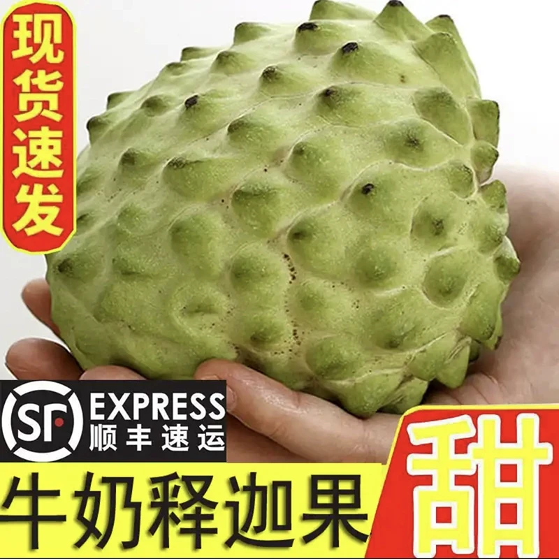 【顺丰发货】现摘牛奶凤梨释迦果番荔枝新鲜佛头大果当季水果林檎