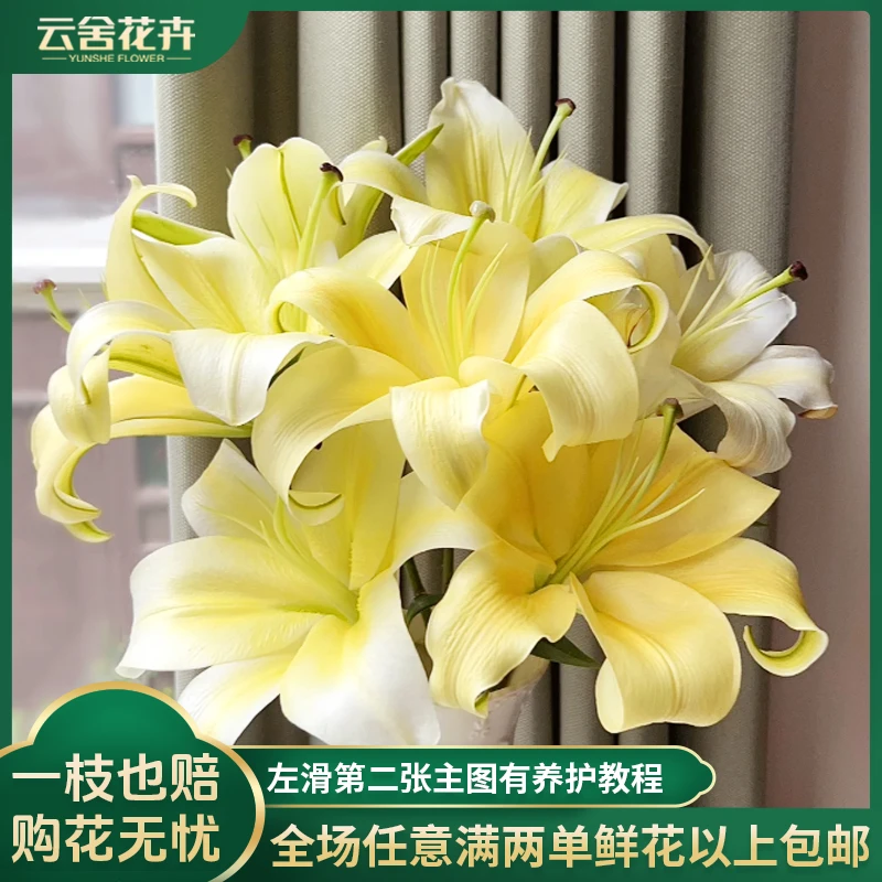 【云舍花卉】皇帝单瓣百合任意2单或以上包邮发货鲜切花
