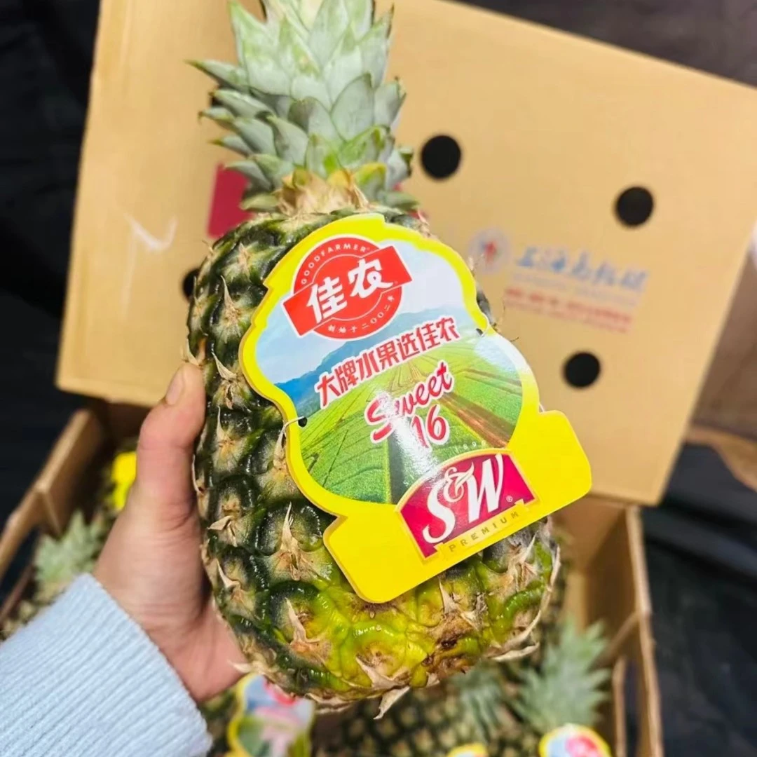 菲律宾进口佳农凤梨【约3斤】口感细嫩 9甜1酸的黄金比例
