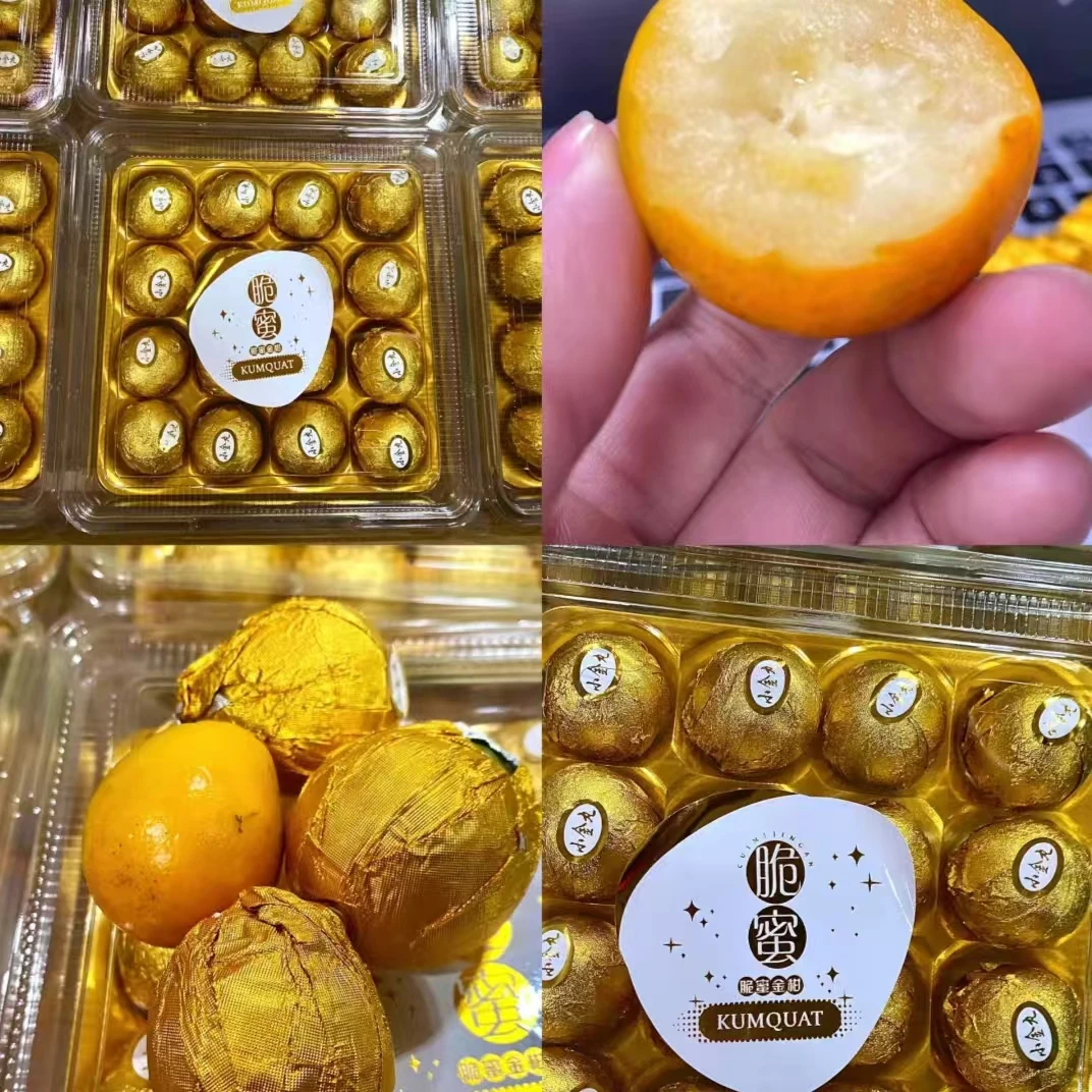 蜜甜的脆蜜金柑【毛3斤】 同城闪送