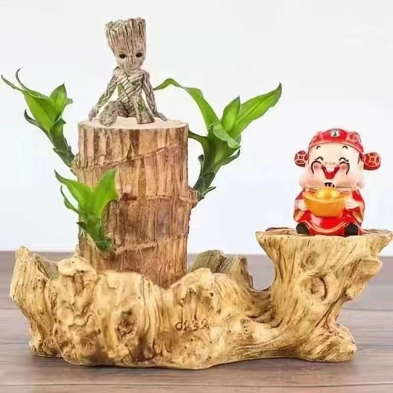 15厘米高带芽巴西木室内绿植水培幸运木可开花好养盆栽懒人窗台