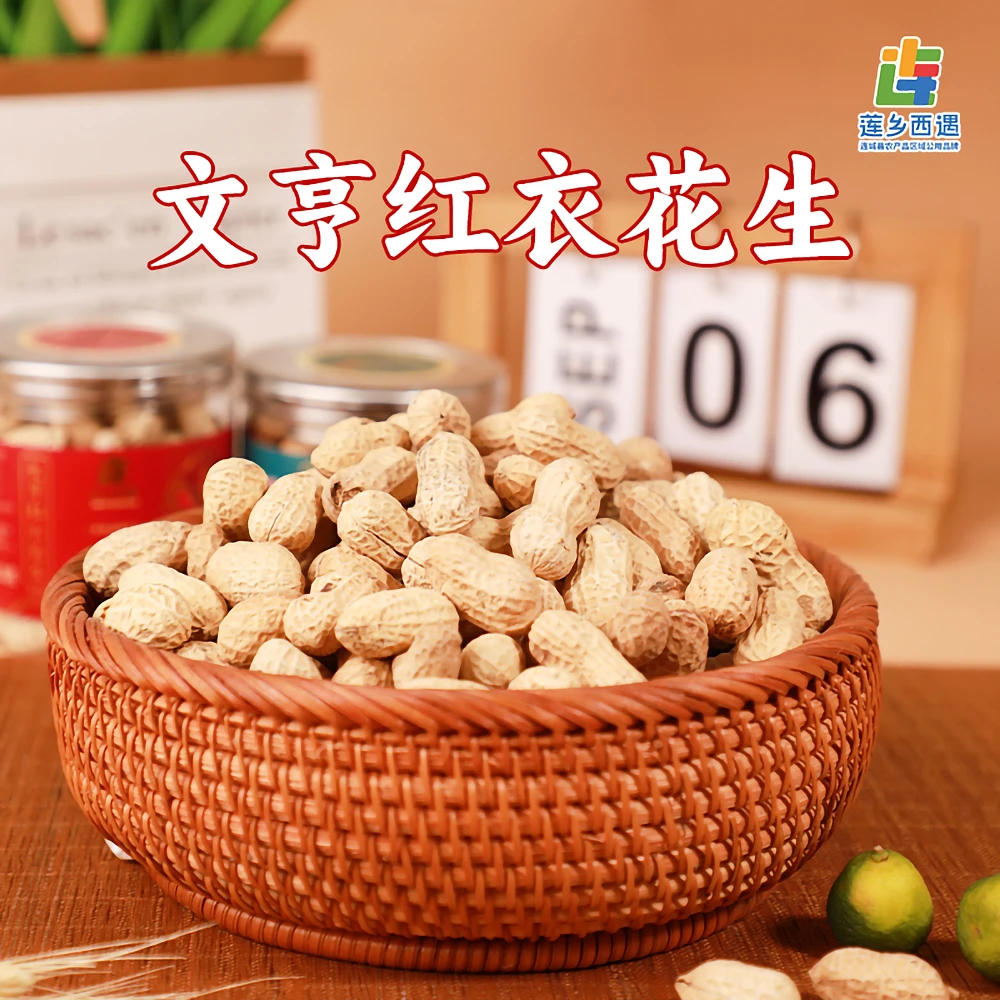 莲乡西遇红皮花生米生新货生花生带壳晒干新鲜红衣炒货花生新鲜