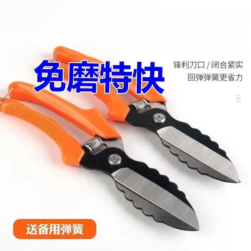 家用多功能省力大蒜洋葱剪枝绿化修花药材生姜剪刀大蒜洋葱剪刀