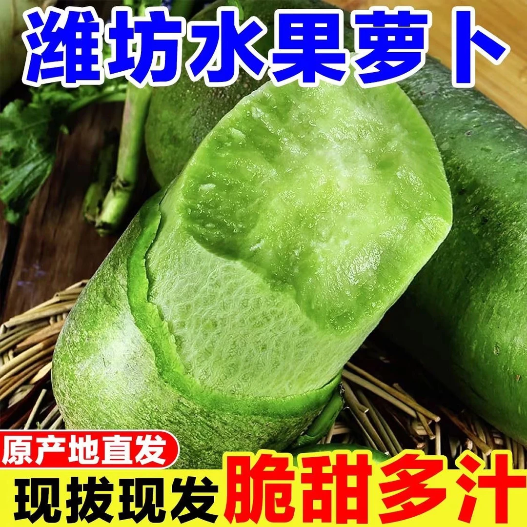 【新鲜现拔】正宗潍坊萝卜水果萝卜传统生吃甜脆青萝卜冰糖心沙窝