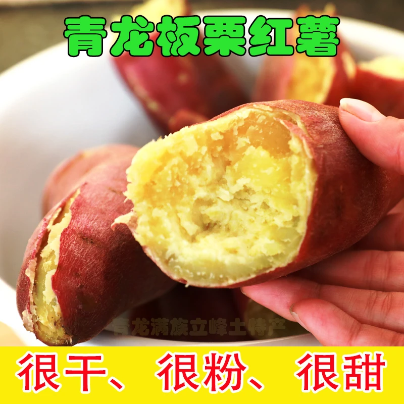 青龙沙地 板栗红薯 新鲜小香番薯 山芋黄白蜜薯 非烟薯蜜薯 5斤装