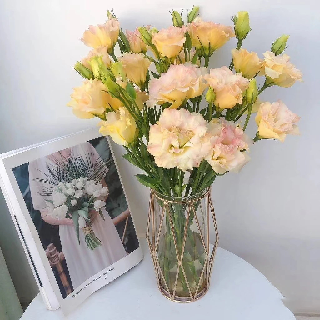 【洋桔梗】云南鲜花直播 花束搭配礼品玫瑰花 任意鲜花拍三单送花瓶