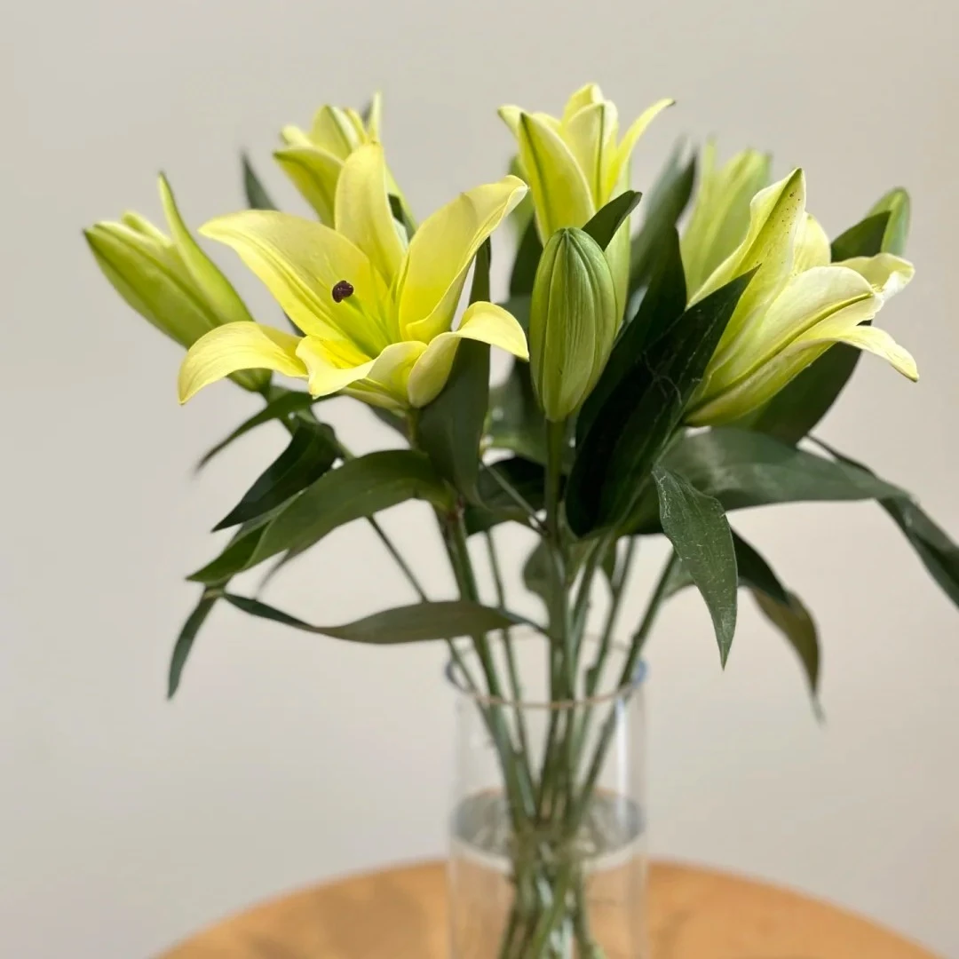 【香水百合】云南基地鲜花新鲜高品质1单普通快递 2单顺丰/京东