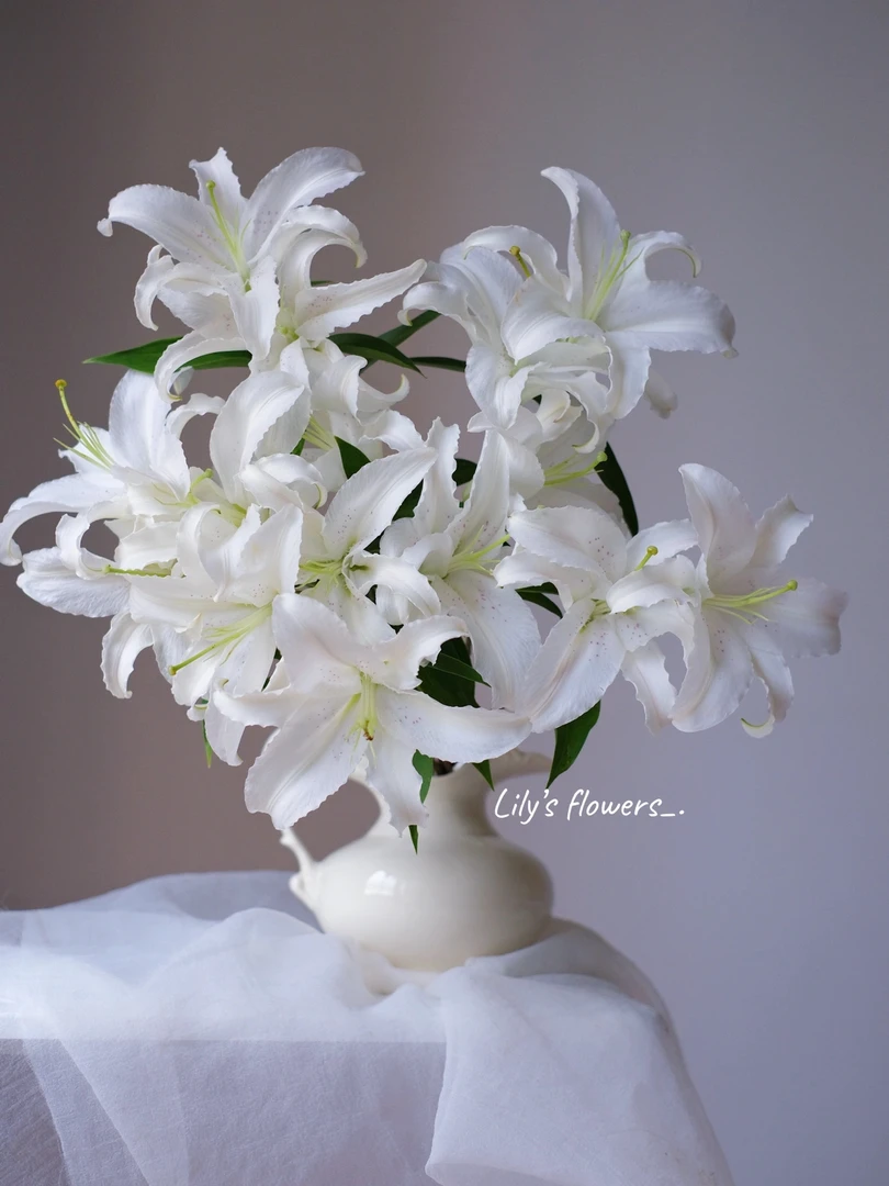 【小阿阮优选】A级鲜花 香水百合【马可波罗】云南直发顺丰冷链包邮
