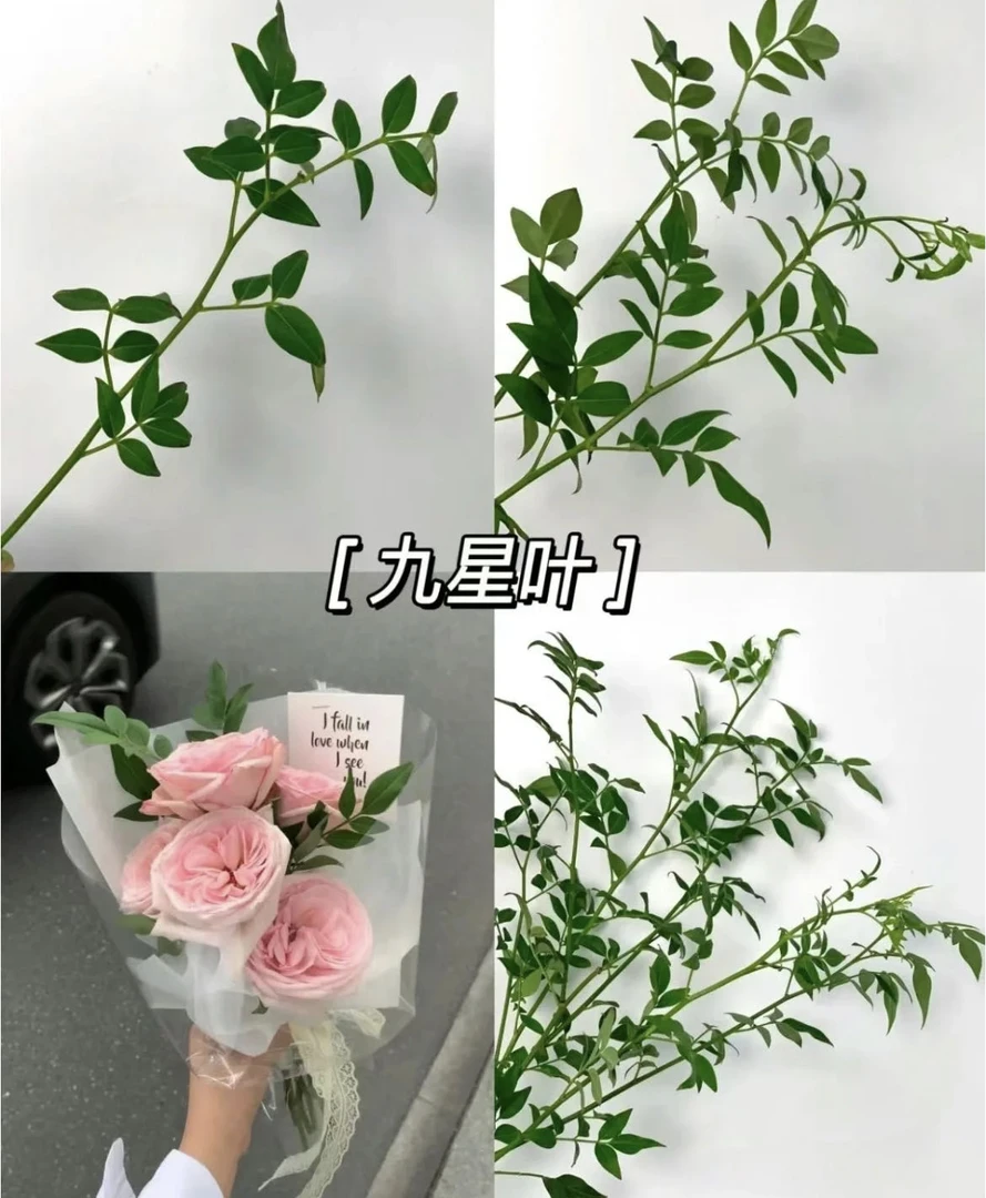 小阿阮【配草配叶可参考自选】主题花束搭配鲜切花   顺丰直发