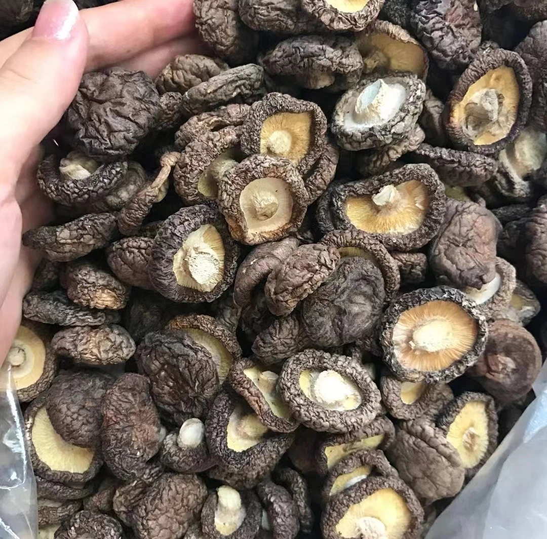 【大*香*菇】农家现收香菇链接