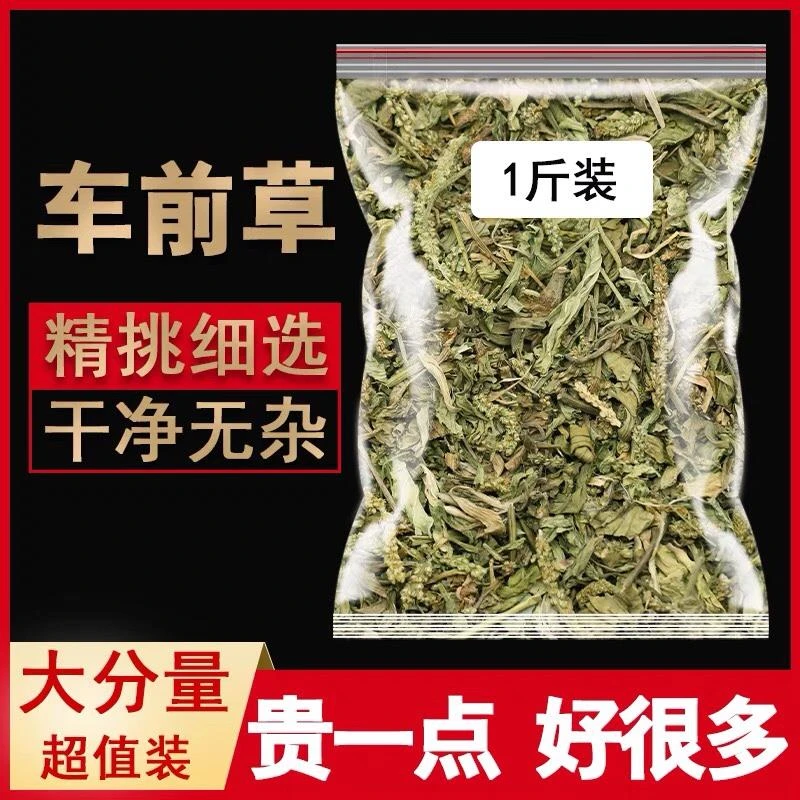 车前草500克g中药材车前草干货袋泡茶新鲜泡水喝广西无硫非野生
