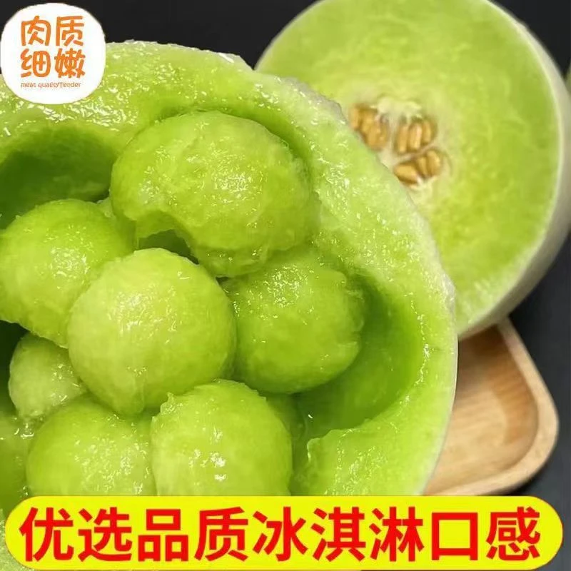 【梁彬家的汪星人】山东聊城玉菇甜瓜净重4.5-8.5斤京东快递包邮