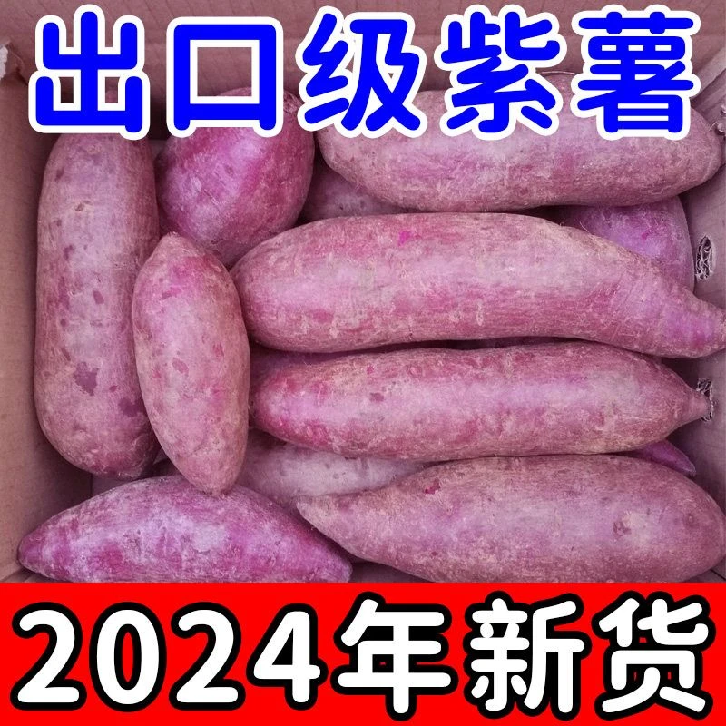 【现挖现发】沙地紫薯新鲜现挖农家自种红薯紫罗兰蜜薯甜山芋番薯