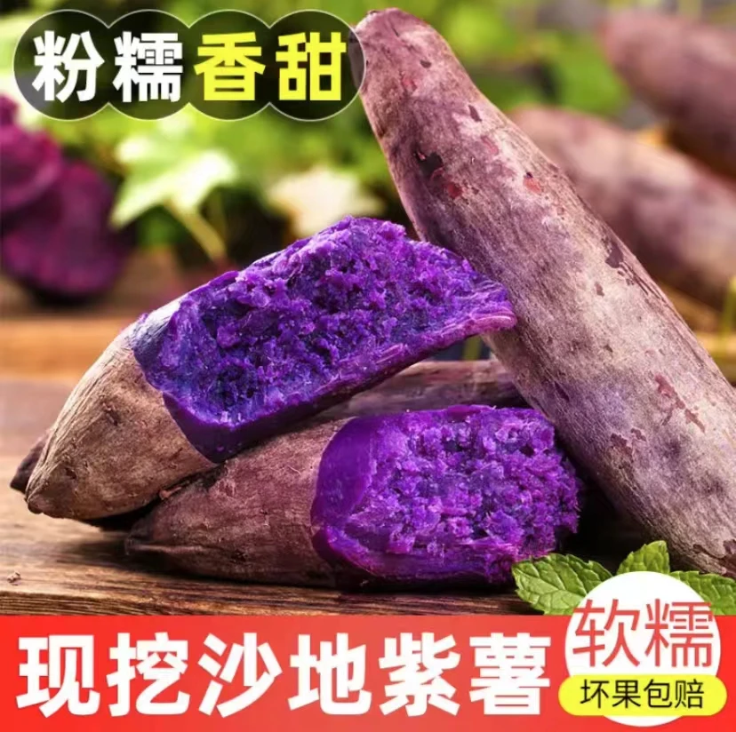 【现挖发货】新鲜现挖沙地紫薯紫罗兰番薯紫心蜜薯地瓜香甜无坏果