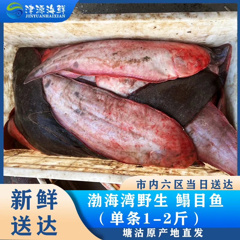 渤海湾野生 鳎目鱼（单条1-2斤）塘沽下船直发