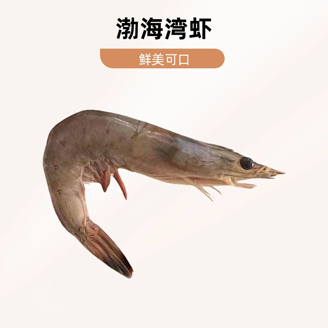 【黄钳子对虾】渤海湾野生对虾（公对虾）塘沽码头下船直发天津当日达