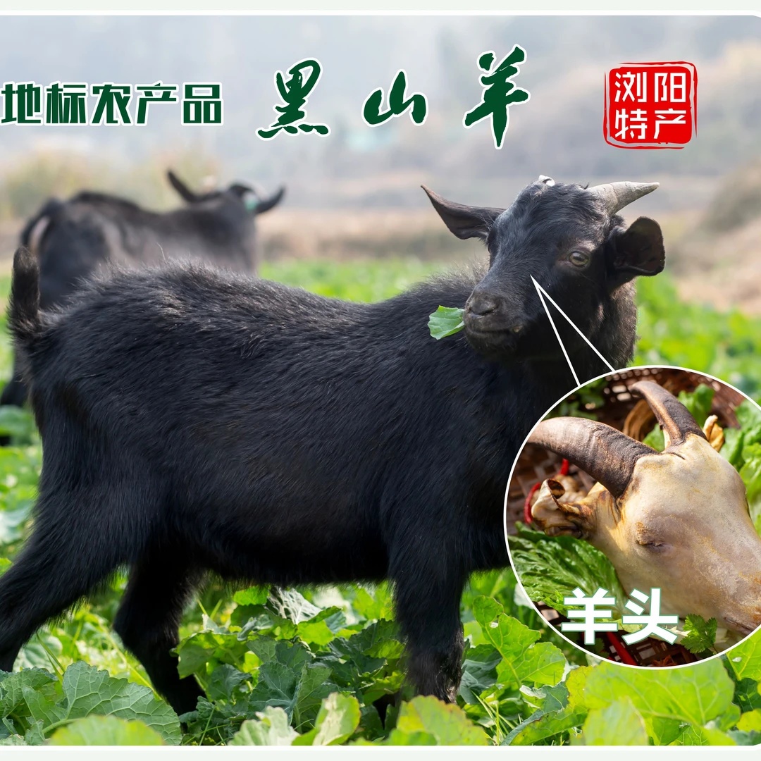 羊头2个（4~5斤） 现称重量，顺丰包邮