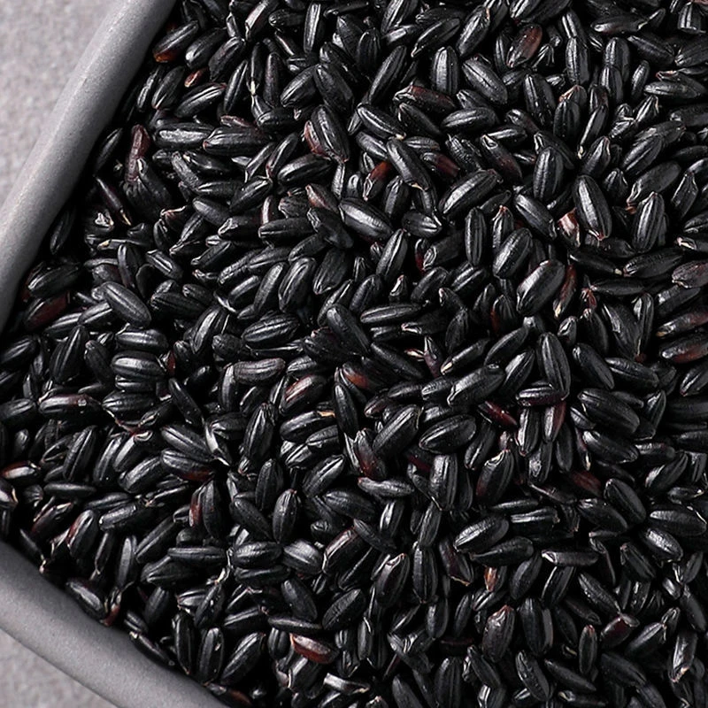 东北黑米农家黑香米香糯米饭营养煮粥黑香米粥杂粮饱满无染色黑米