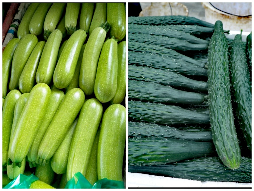 黄瓜 西葫芦组合5斤装包邮