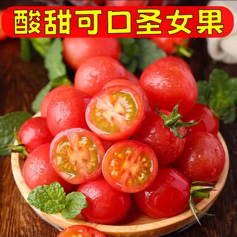 【广西新鲜露天圣女果】小番茄酸甜爆汁热带当季水果小番茄2/3/5斤
