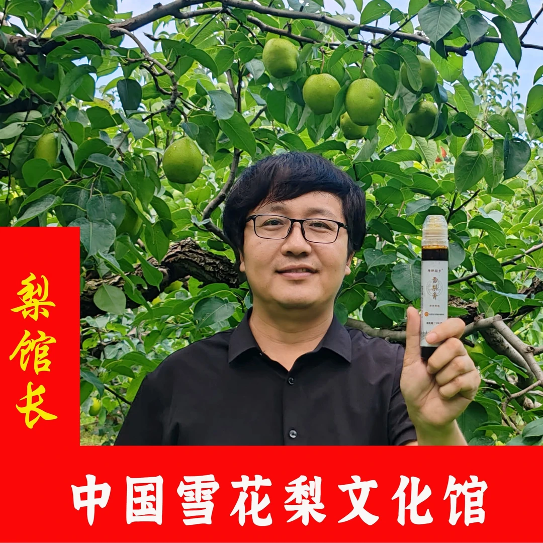 梨馆长推荐 纯雪花梨膏 中国雪花梨之乡赵县雪花梨文化馆130g梨膏
