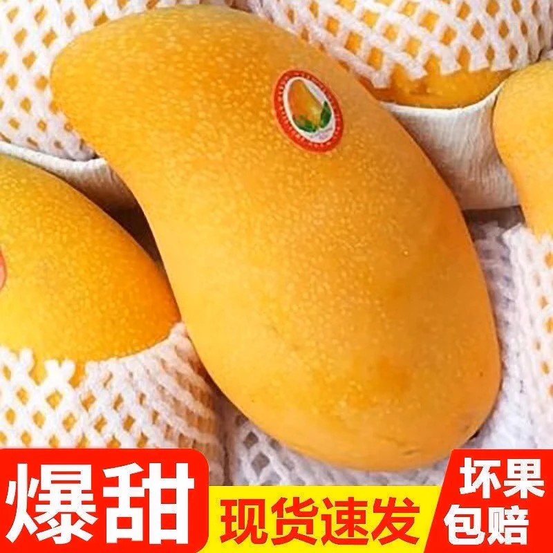 海南金煌芒果新鲜水仙芒当季整箱水果热带水果芒果甜香包邮