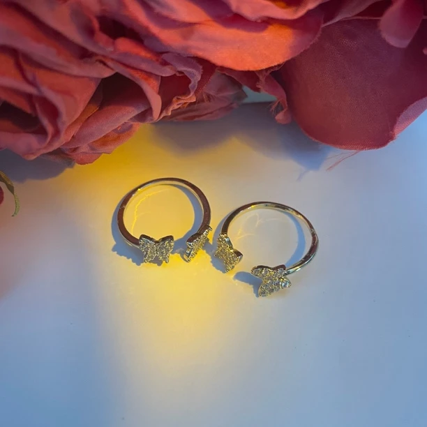 不锈钢戒指 新疆包邮-SP133#两只蝴蝶戒指