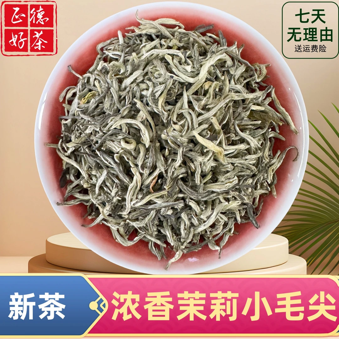 【茉莉小毛尖】2025年新茉莉花茶 浓香耐泡 滋味醇厚鲜香