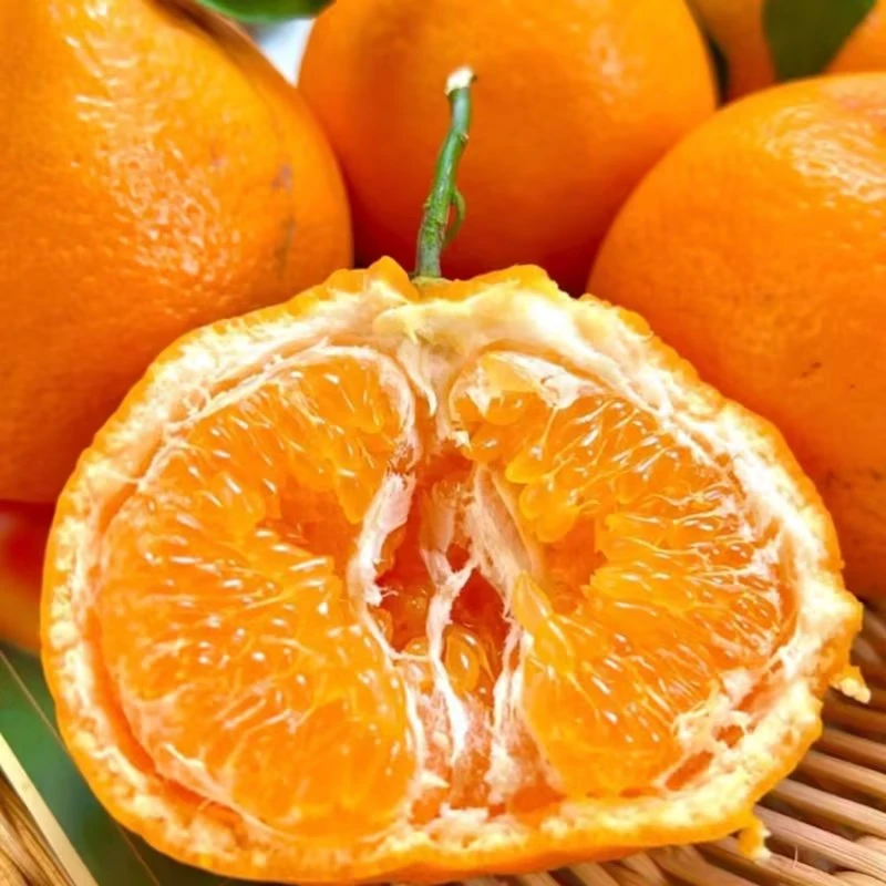 【头等果舱】春见耙耙柑2个