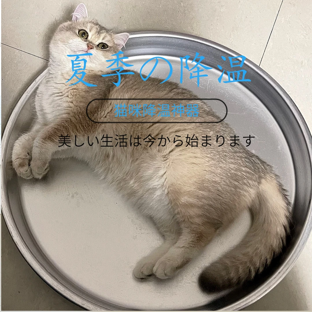 猫咪夏天降温铝盆猫锅网红加厚猫窝夏季清凉窝狗狗窝猫咪降温神器