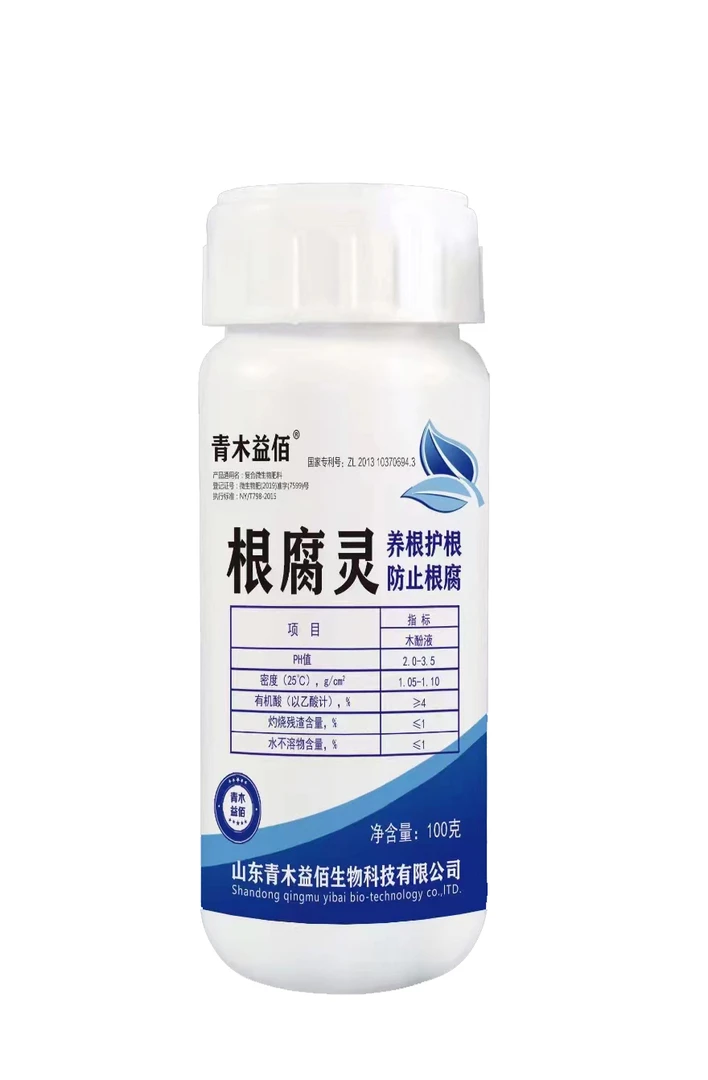竹柏龙须树幸福树巴西木水培莲子绿萝小叶赤楠白掌枯萎黄叶根腐病