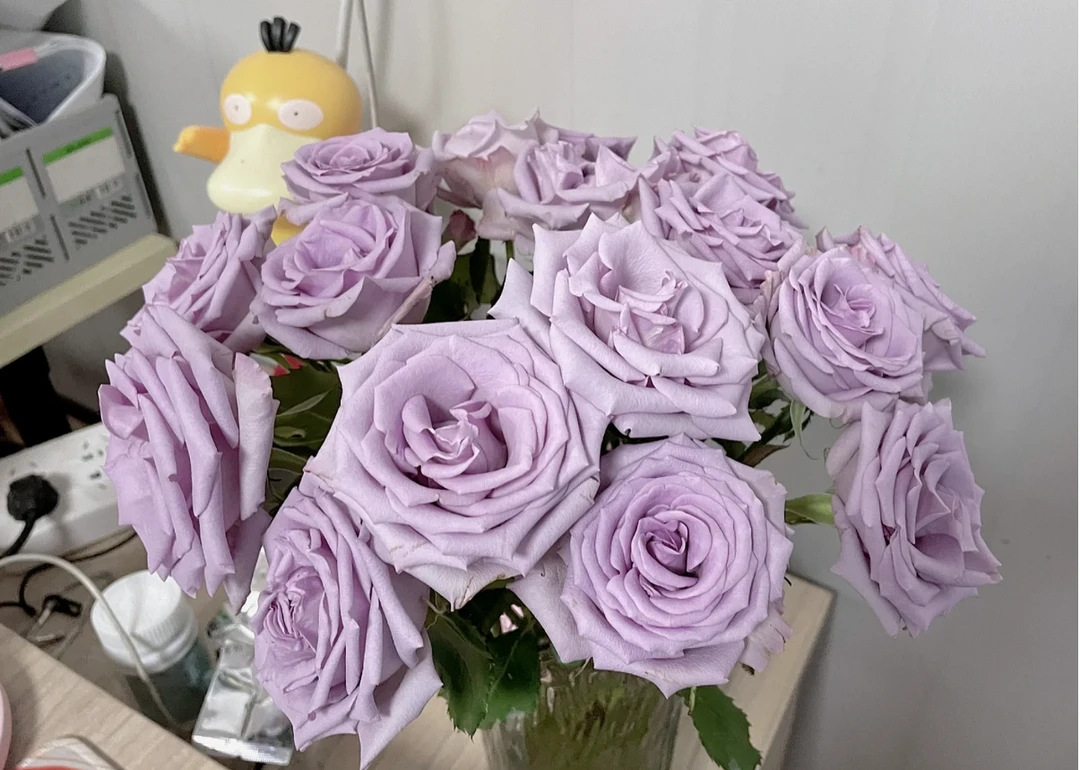 海洋之心玫瑰（10枝）+醒花液