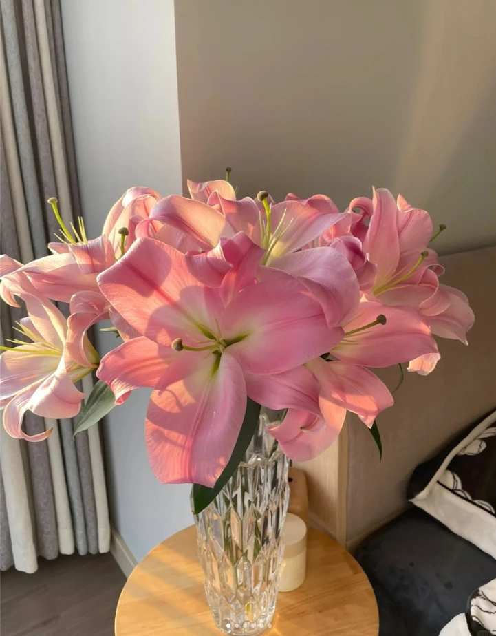 多头星光百合（三枝）+醒花液