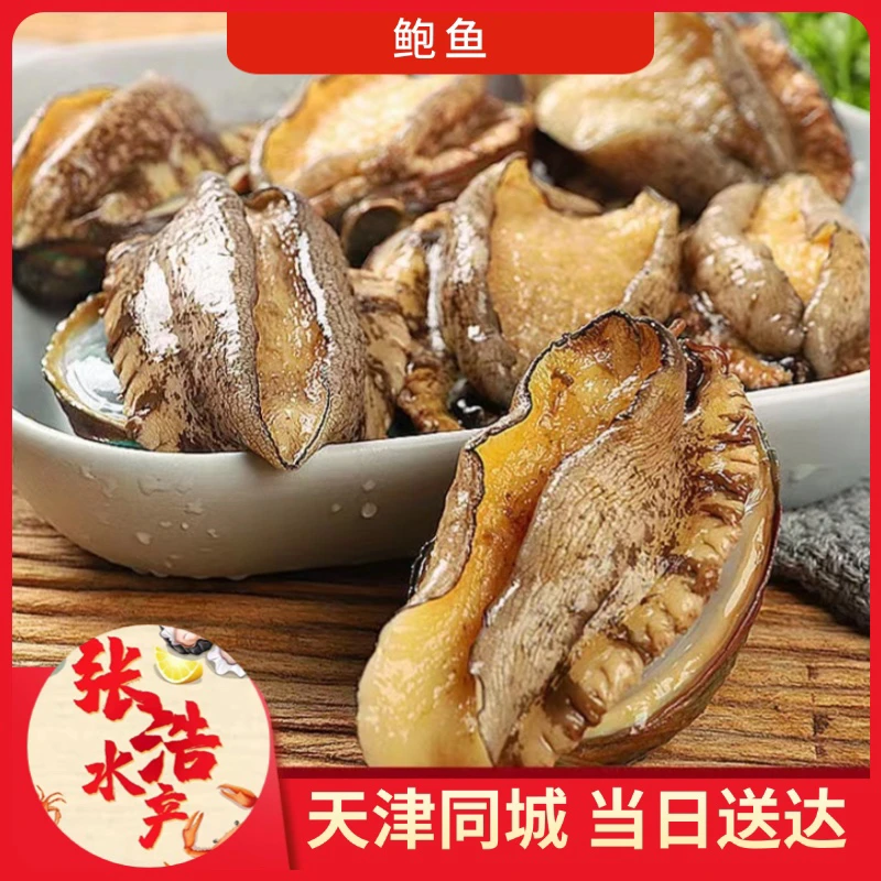 【鲍鱼】鲍鱼 每个1两8-2两5 天津张浩海鲜