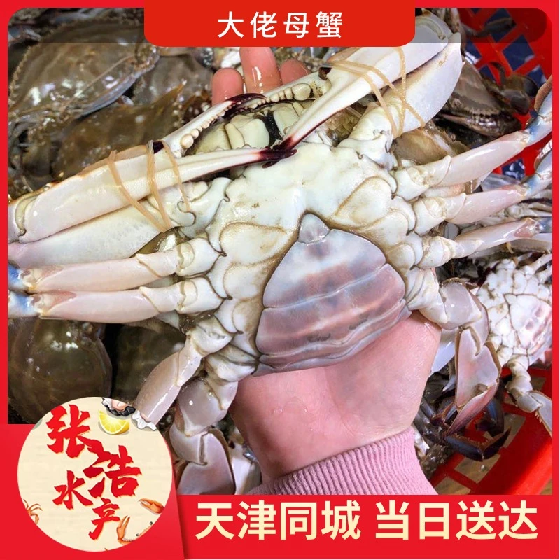 【保鲜不保活】母蟹残蟹每斤2-5只（单只2-5两） 天津同城当日达 断氧