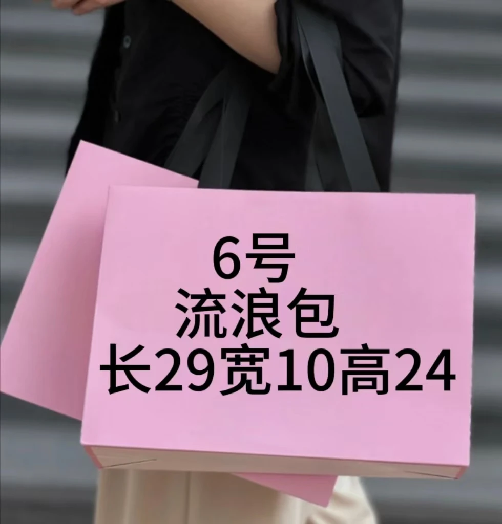 Y 006 流浪包轻奢时尚休闲百搭潮流经典气质 流浪包 K29