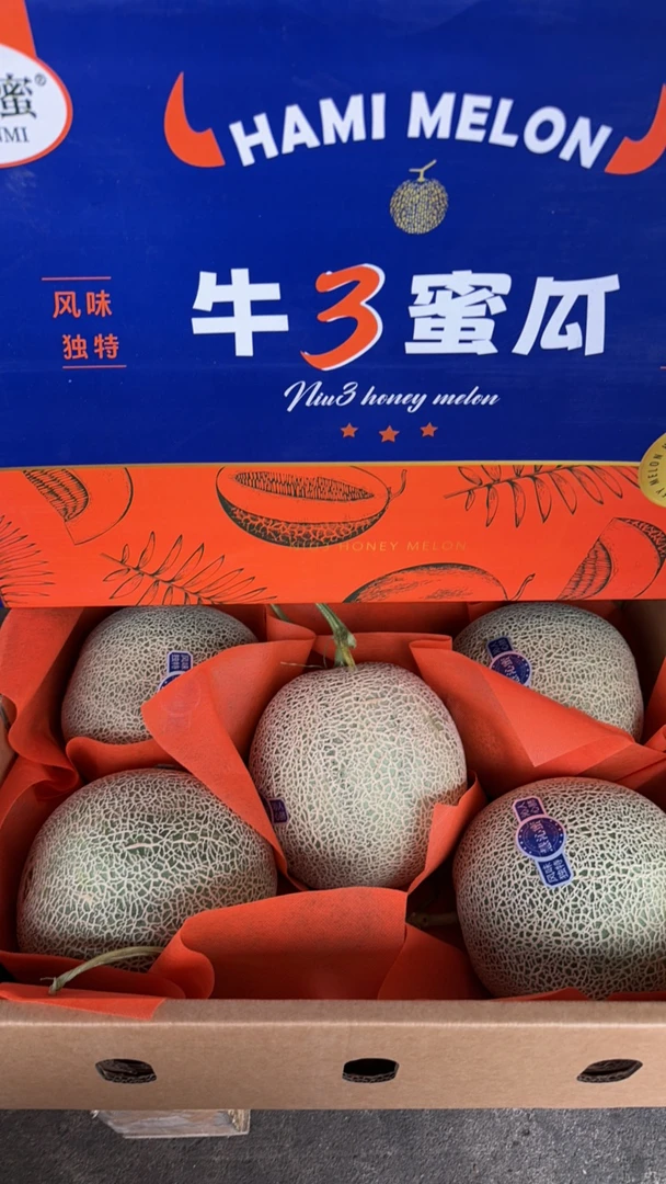 牛三蜜瓜
