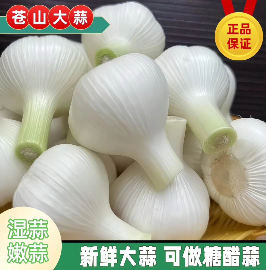 新鲜白皮大蒜苍山大蒜山东湿蒜2024年嫩蒜腌制糖醋蒜1斤3斤5斤蒜