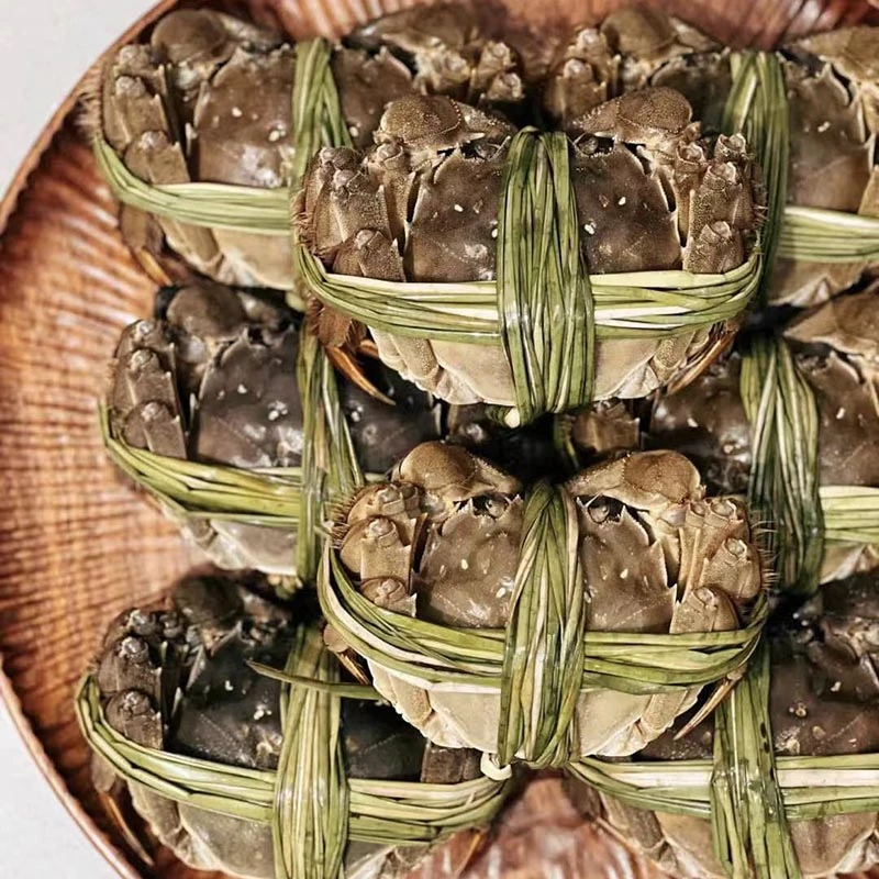 （鲜活 拍10只送1只）六月黄大闸蟹螃蟹（1.5~1.7两公）配送到家