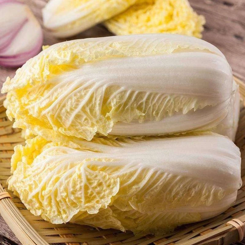 河南新鲜娃娃菜现砍现发黄心农家自种露天霜冻口感脆嫩清甜精五斤