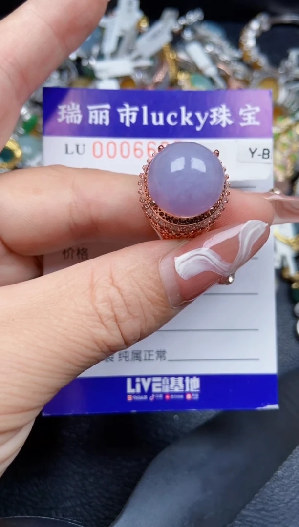 【闪购商品】翡翠颈饰未镶嵌6665铜托